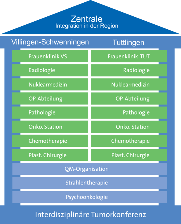 Organigramm Brustzentrum Organigramm Brustzentrum